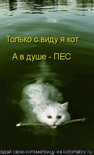 Котоматрица: Только с виду я кот А в душе - ПЕС