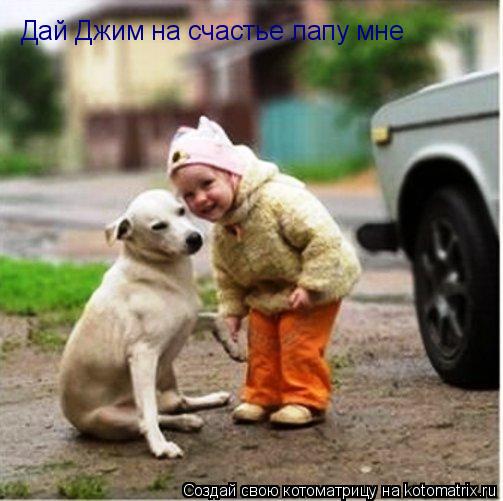 Котоматрица: Дай Джим на счастье лапу мне