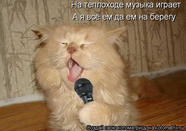 Котоматрица: На теплоходе музыка играет А я всё ем да ем на берегу