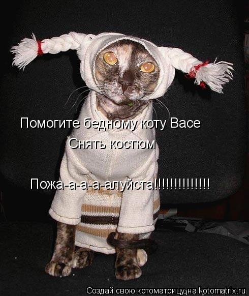 Котоматрица: Помогите бедному коту Васе Снять костюм Пожа-а-а-а-алуйста!!!!!!!!!!!!!!