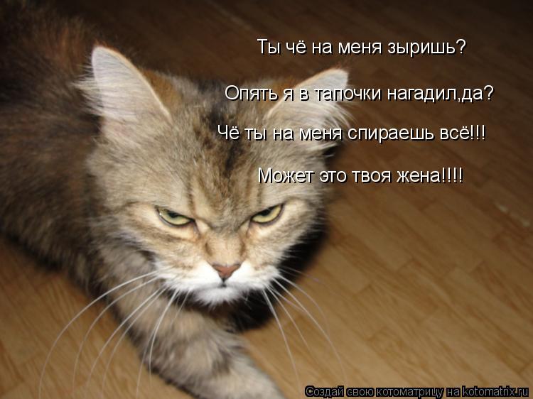 Котоматрица: Ты чё на меня зыришь? Опять я в тапочки нагадил,да? Чё ты на меня спираешь всё!!! Может это твоя жена!!!!