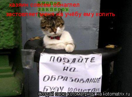 Котоматрица: хазяин совсем обнаглел застовляет меня на учёбу ему копить