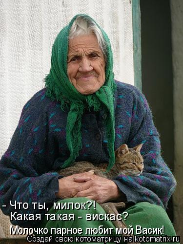 Котоматрица: - Что ты, милок?!   Какая такая - вискас?    Молочко парное любит мой Васик!