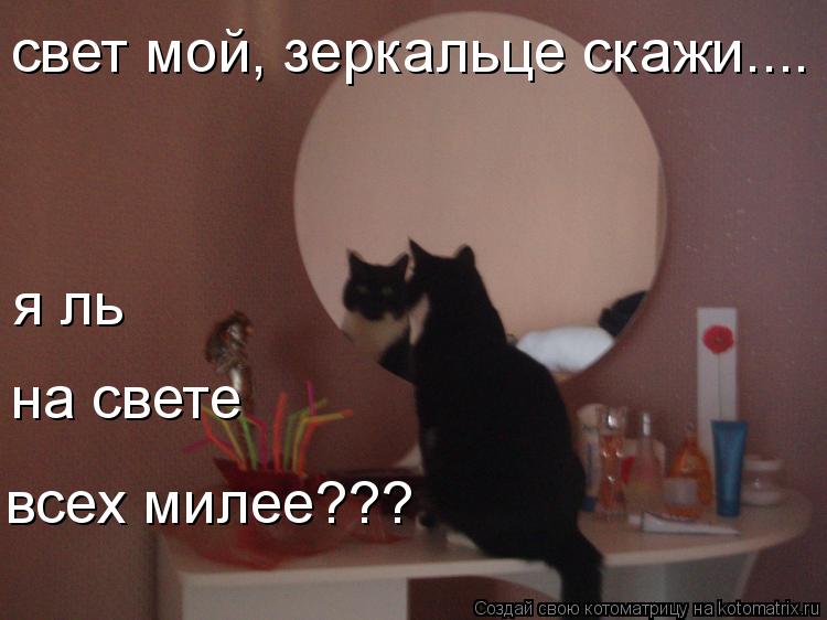 Котоматрица: свет мой, зеркальце скажи.... я ль  на свете всех милее???