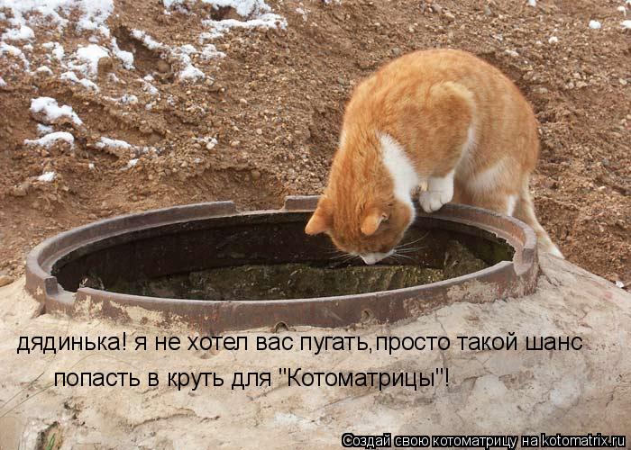 Котоматрица: дядинька! я не хотел вас пугать,просто такой шанс попасть в круть для "Котоматрицы"!