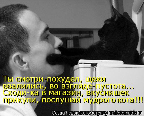 Котоматрица: Ты смотри-похудел, щеки  ввалились, во взгляде-пустота... Сходи-ка в магазин, вкусняшек прикупи, послушай мудрого кота!!!