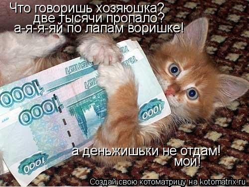 Котоматрица: Что говоришь хозяюшка? две тысячи пропало? а-я-я-яй по лапам воришке! а деньжишьки не отдам! мои!