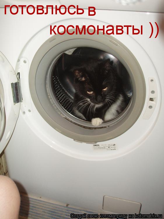 Котоматрица: готовлюсь в  космонавты ))