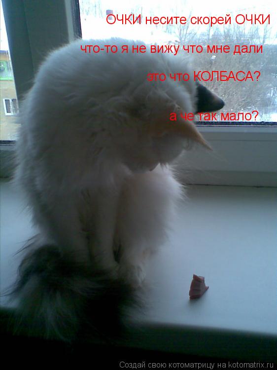 ОЧКИ несите скорей ОЧКИ что-то я не вижу что мне дали это что КОЛБАСА? а че так мало?... Котоматрица: ОЧКИ несите скорей ОЧКИ что-то я не вижу что мне дали это что КОЛБАСА? а че так мало?