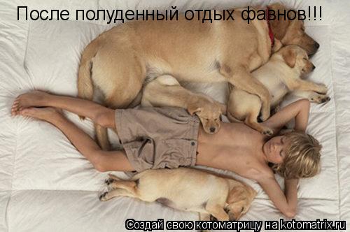 Котоматрица: После полуденный отдых фавнов!!!