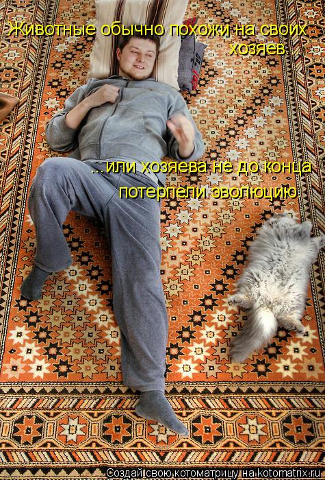 Котоматрица: Животные обычно похожи на своих  хозяев... ...или хозяева не до конца  потерпели эволюцию.