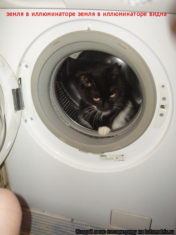 Котоматрица: земля в иллюминаторе земля в иллюминаторе видна