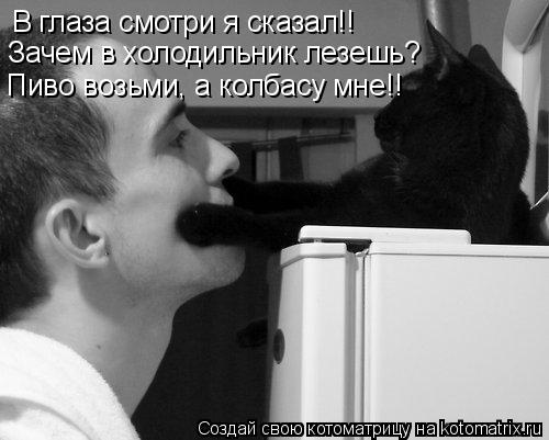 Котоматрица: В глаза смотри я сказал!! Зачем в холодильник лезешь? Пиво возьми, а колбасу мне!!