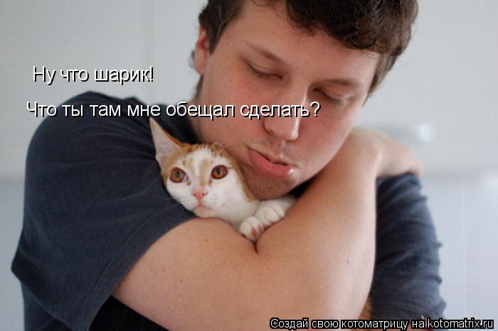 Котоматрица: Ну что шарик! Что ты там мне обещал сделать?