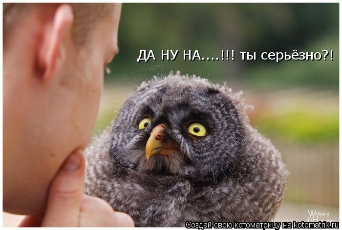 Котоматрица: ДА НУ НА....!!! ты серьёзно?!