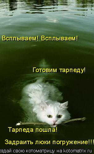 Котоматрица: Всплываем! Всплываем! Готовим тарпеду! Тарпеда пошла! Задраить люки погружение!!!