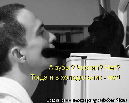 Котоматрица: А зубы? Чистил? Нет?  Тогда и в холодильник - нет!