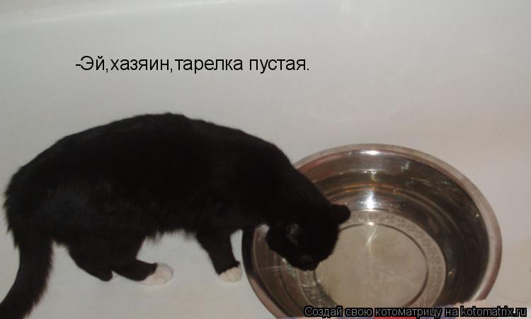 Котоматрица: -Эй,хазяин,тарелка пустая.