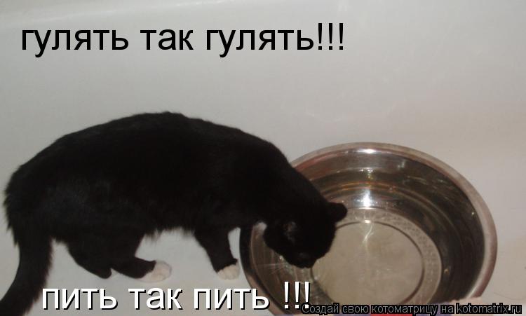 http://kotomatrix.ru/images/lolz/2010/04/27/558422.jpg