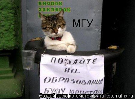 Котоматрица: МГУ
