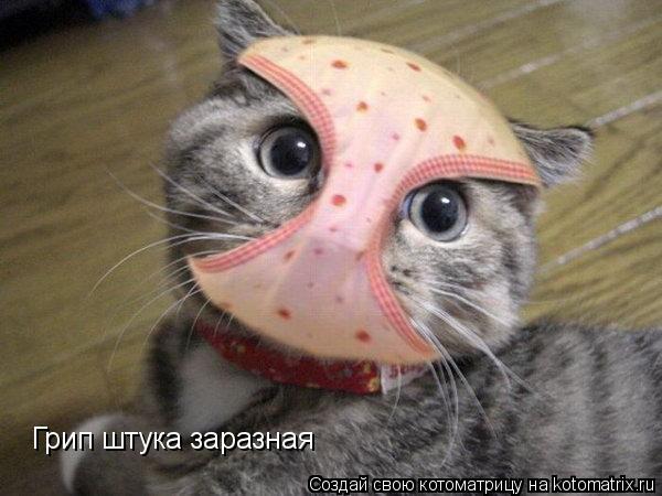 Котоматрица: Грип штука заразная