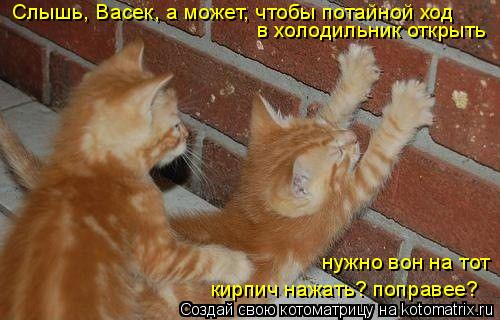 Котоматрица: Слышь, Васек, а может, чтобы потайной ход  в холодильник открыть   нужно вон на тот   кирпич нажать? поправее?