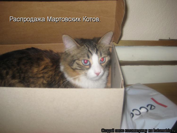 Котоматрица: Распродажа Мартовских Котов.