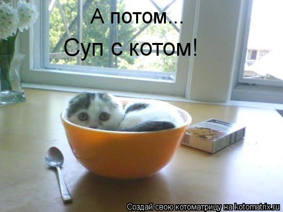 Котоматрица: А потом... Суп с котом!