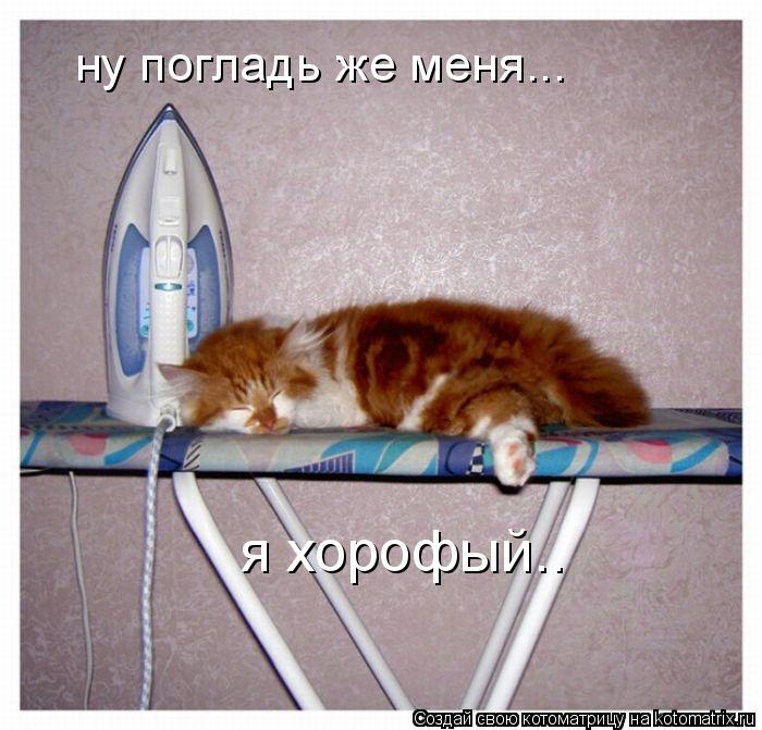 Котоматрица: ну погладь же меня... я хорофый..