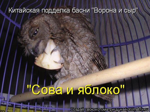 Котоматрица: Китайская подделка басни "Ворона и сыр" "Сова и яблоко"