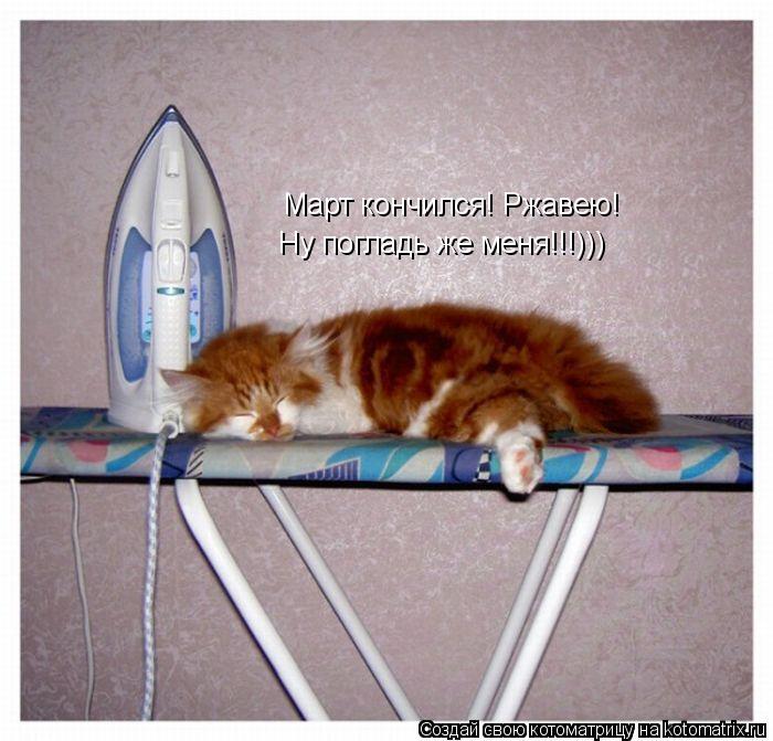 Котоматрица: Март кончился! Ржавею! Ну погладь же меня!!!)))