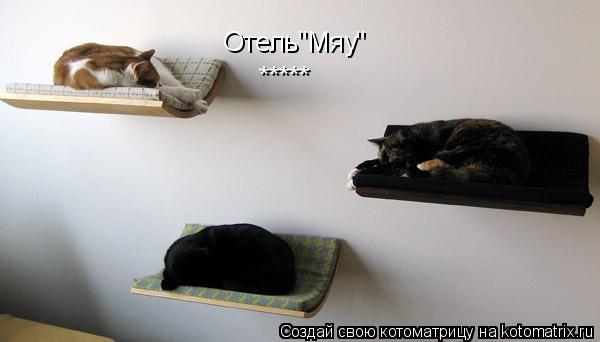 Котоматрица: Отель"Мяу" *****