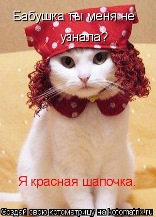 Котоматрица: Бабушка ты меня не узнала? Я красная шапочка.