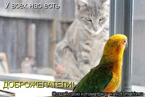 У всех нас есть ДОБРОЖЕЛАТЕЛИ!... Котоматрица: У всех нас есть ДОБРОЖЕЛАТЕЛИ!