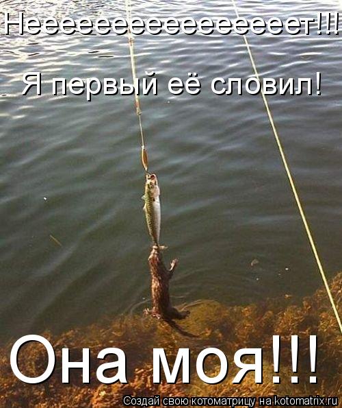 Котоматрица: Неееееееееееееееет!!! Я первый её словил! Она моя!!!