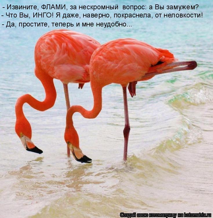 - Извините, ФЛАМИ, за нескромный вопрос: а Вы замужем? - Что Вы, ИНГО! Я даже, наверно, покраснела, ... Котоматрица: - Извините, ФЛАМИ, за нескромный вопрос: а Вы замужем? - Что Вы, ИНГО! Я даже, наверно, покраснела, от неловкости! - Да, простите, теперь и мне неу