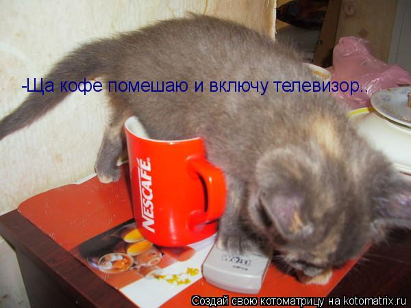 Котоматрица: -Ща кофе помешаю и включу телевизор..