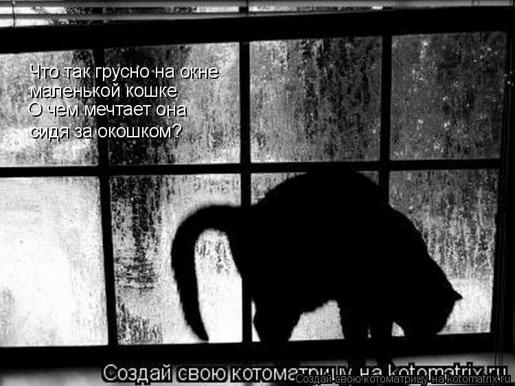 Котоматрица: Что так грусно на окне маленькой кошке О чем мечтает она сидя за окошком? О чем мечтает она  сидя за окошком?