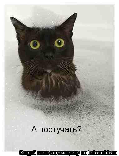 Котоматрица: А постучать?