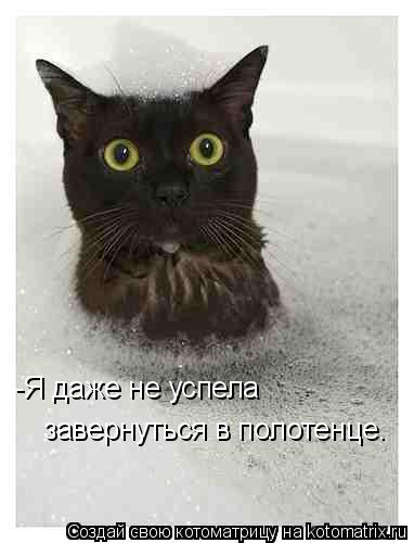 Котоматрица: -Я даже не успела  завернуться в полотенце.