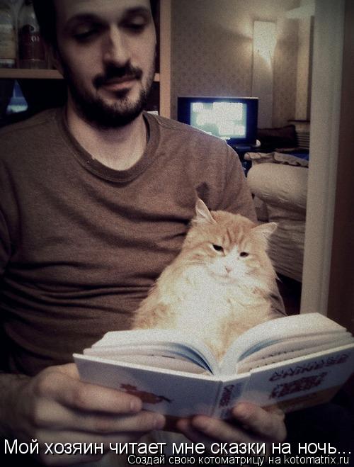 Котоматрица: Мой хозяин читает мне сказки на ночь...