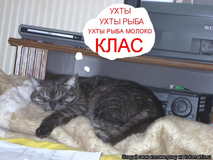 Котоматрица: УХТЫ УХТЫ РЫБА УХТЫ РЫБА МОЛОКО КЛАС