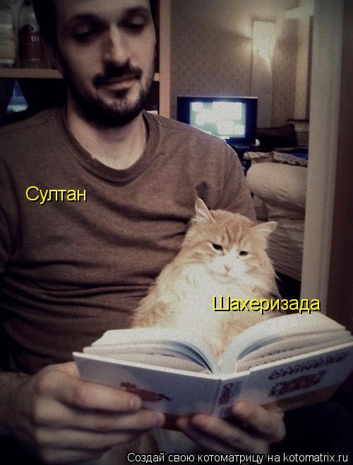 Котоматрица: Султан Шахеризада