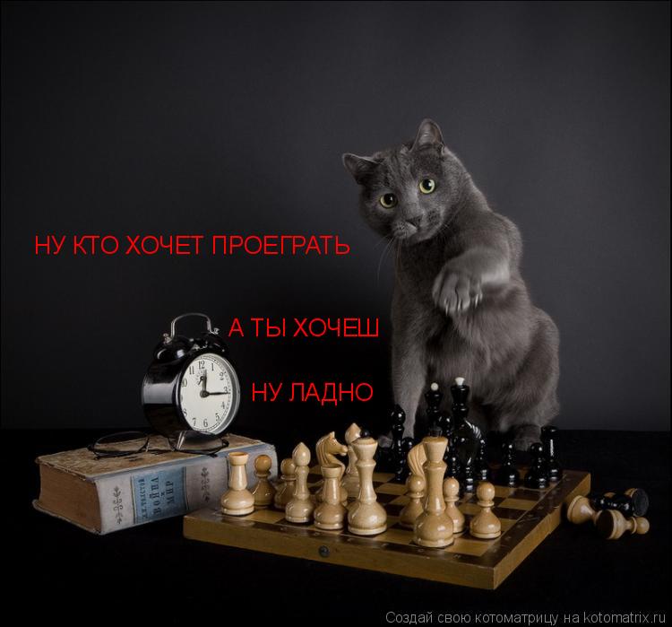 Котоматрица: НУ КТО ХОЧЕТ ПРОЕГРАТЬ А ТЫ ХОЧЕШ НУ ЛАДНО