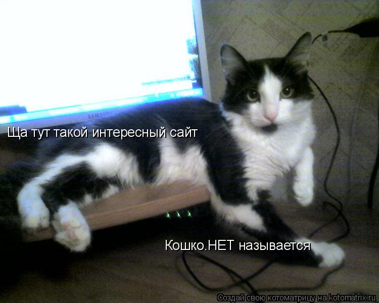 Котоматрица: Ща тут такой интересный сайт Кошко.НЕТ называется