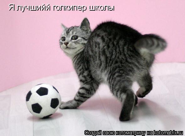 Котоматрица: Я лучшийй голкипер школы