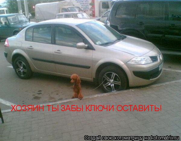 Котоматрица: ХОЗЯИН ТЫ ЗАБЫ КЛЮЧИ ОСТАВИТЬ!