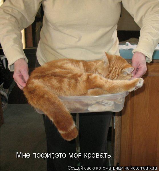 Котоматрица: Мне пофиг,это моя кровать.
