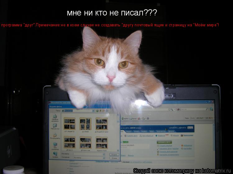 Котоматрица: мне ни кто не писал??? программа "друг".Примечание:не в коем случае не создавать "другу почтовый ящик и страницу на "Моём мире"!