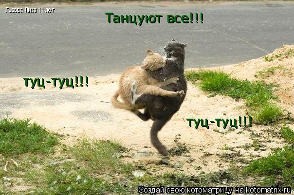 Котоматрица: Танцуют все!!! туц-туц!!! туц-туц!!! Львова Лиза 11 лет